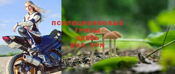 гидра Волоколамск
