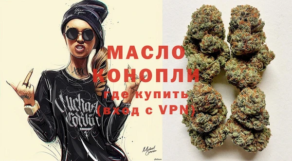 индика Волосово