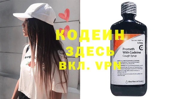 индика Волосово