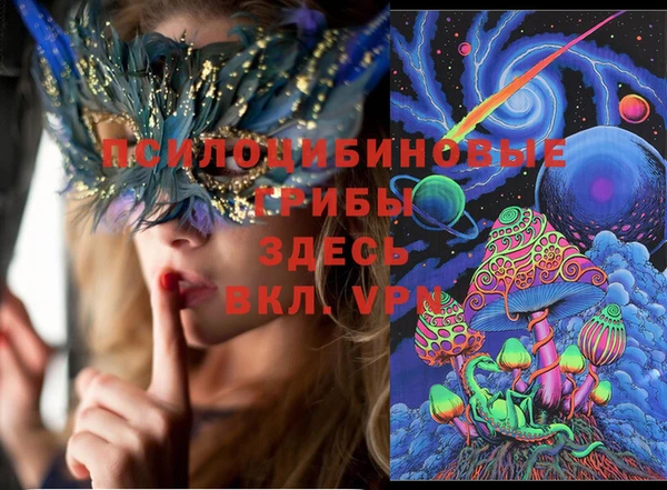 индика Волосово