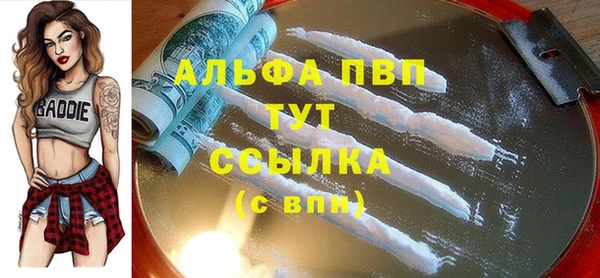 гидра Волоколамск