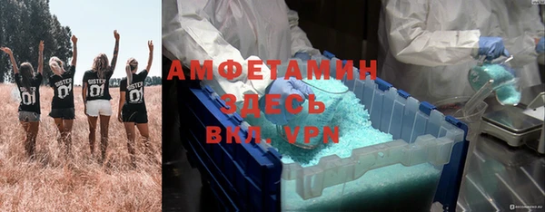 индика Волосово