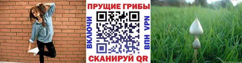 Галлюциногенные грибы мицелий  Купить  Бугульма 