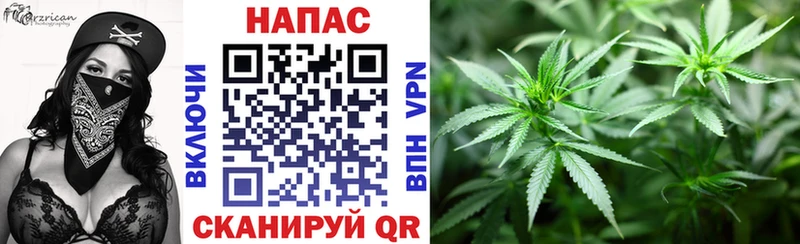 Канабис SATIVA & INDICA  Купить закладки  Бугульма 